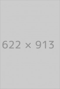 Theme Options General