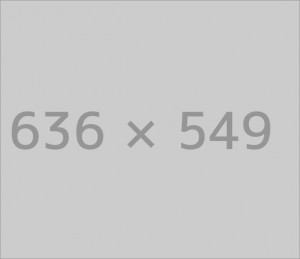 Theme Options Header