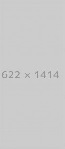 Theme Options Footer