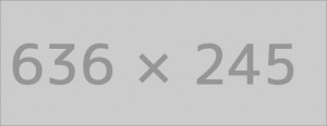 Theme Options Breadcrumbs