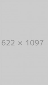 Theme Options Sidebars & Widget Areas