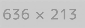 Theme Options Google