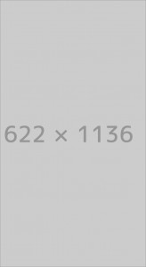 Theme Options Social Icons