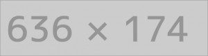 Theme Options Administrator settings